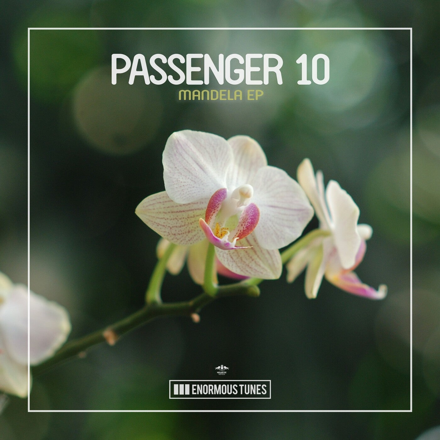 Passenger 10 - Mandela (Extended Mix)