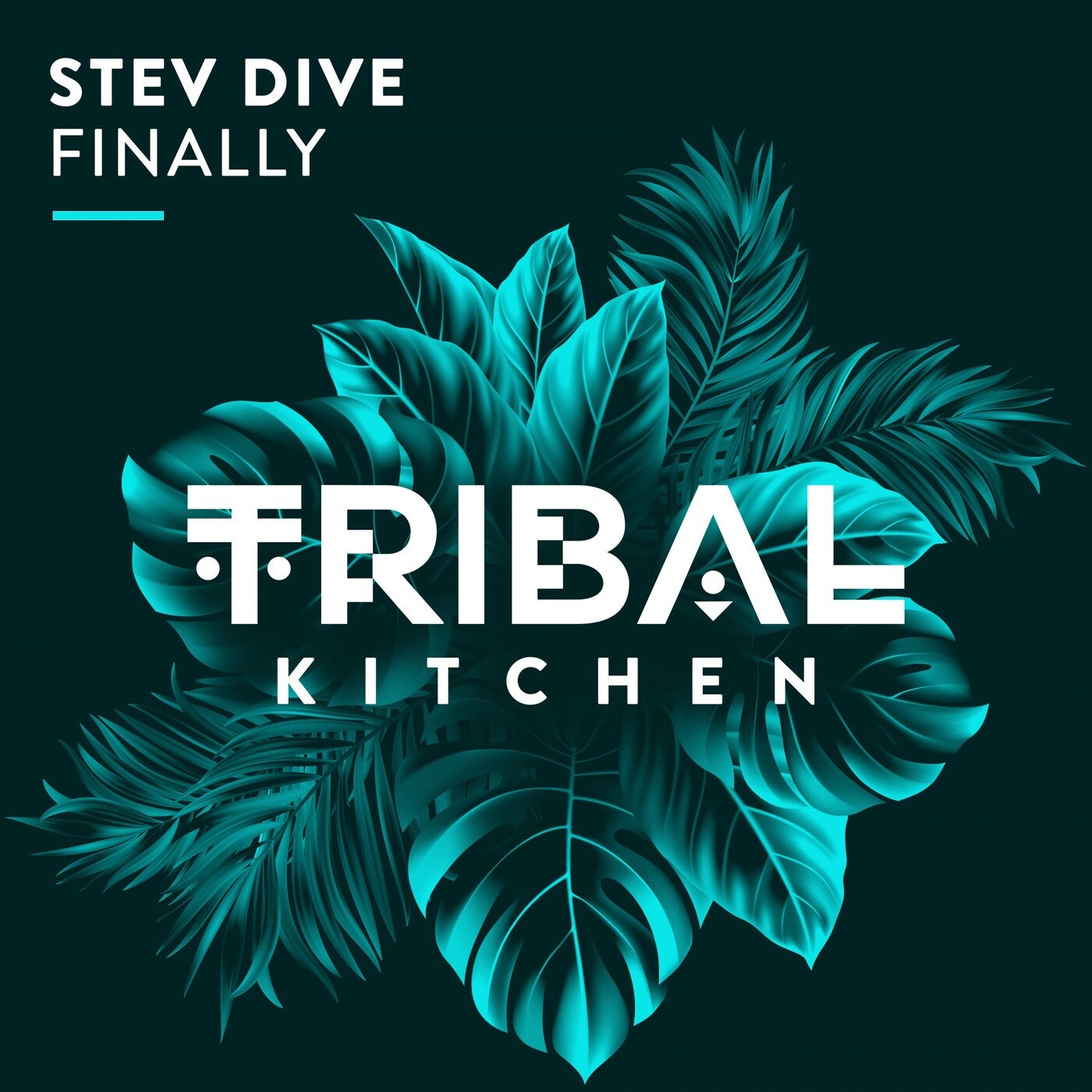 Stev Dive - Finally (Original Mix)