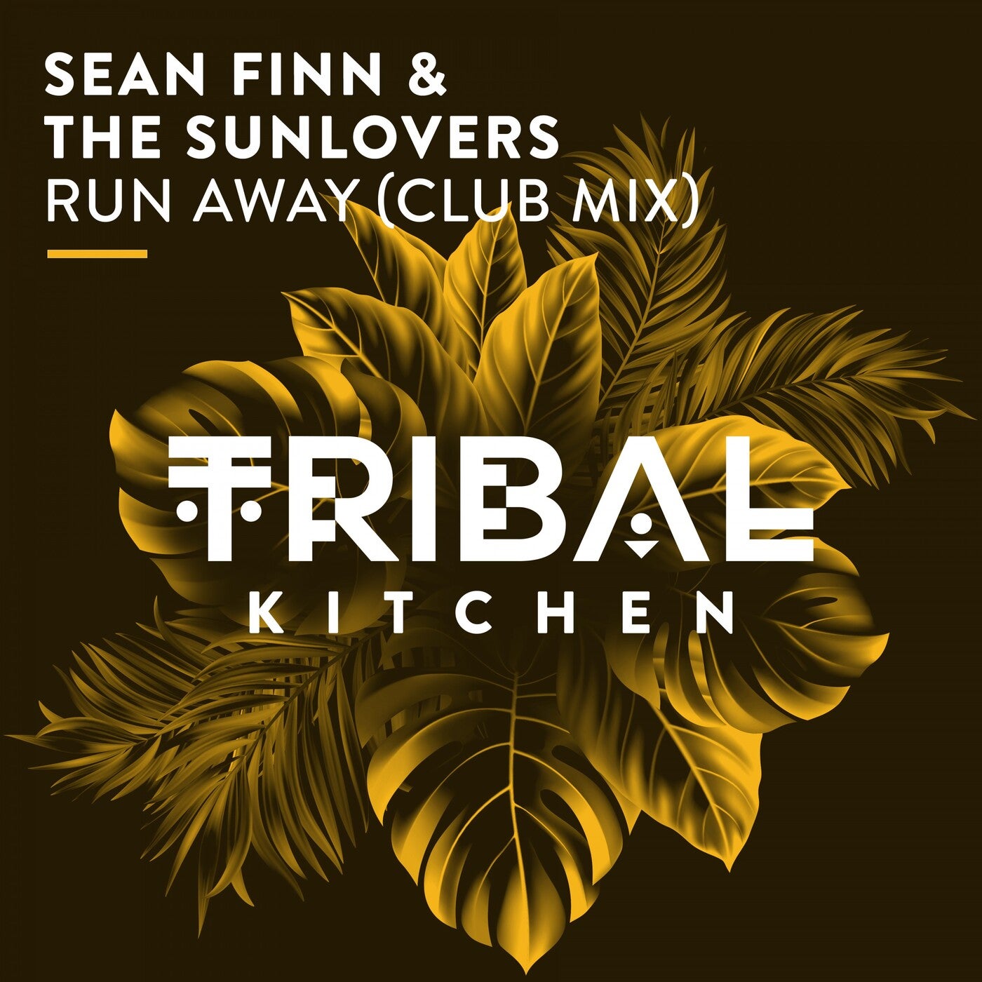 Sean Finn, The Soundlovers - Run Away (Club Mix)