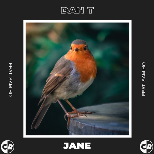 Dan T - Jane (Original Mix)