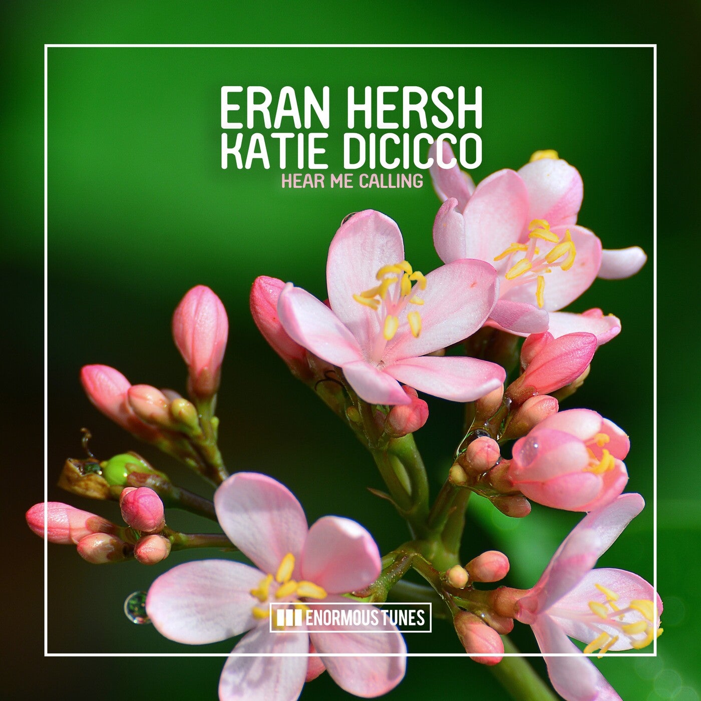 Eran Hersh feat. Katie DiCicco - Hear Me Calling (Extended Mix)