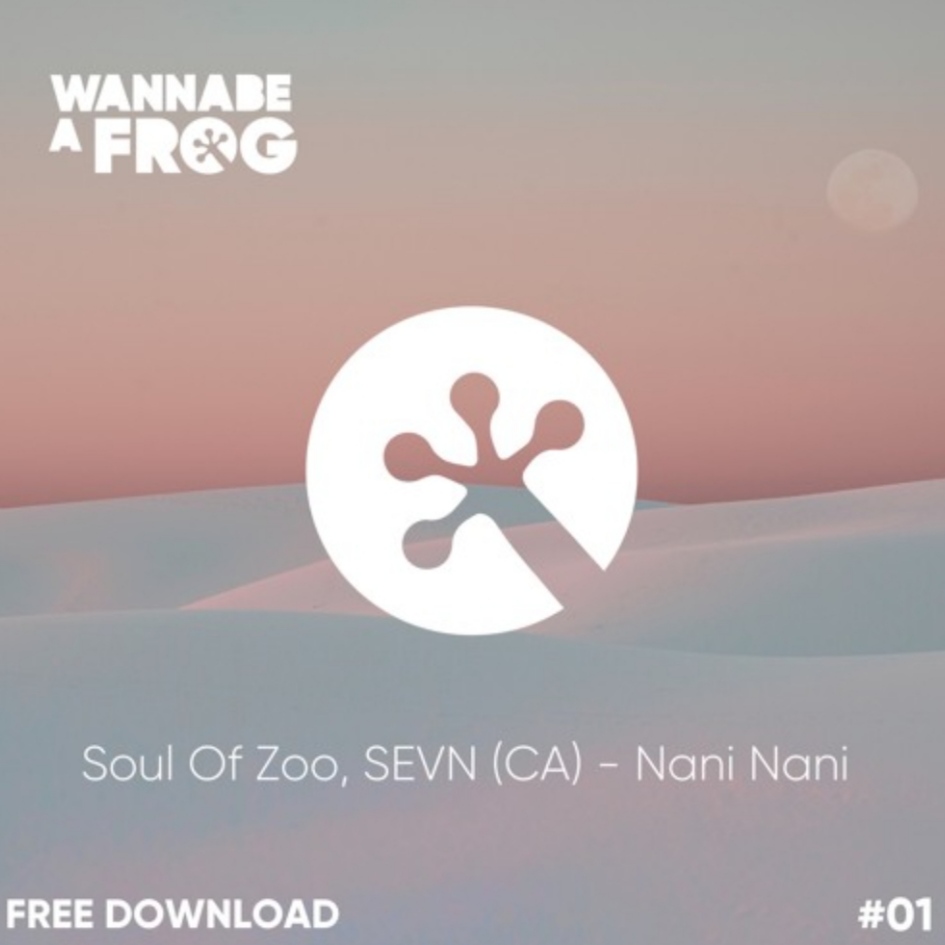 Soul Of Zoo, Sevn (CA) - Nani Nani (Original Mix)