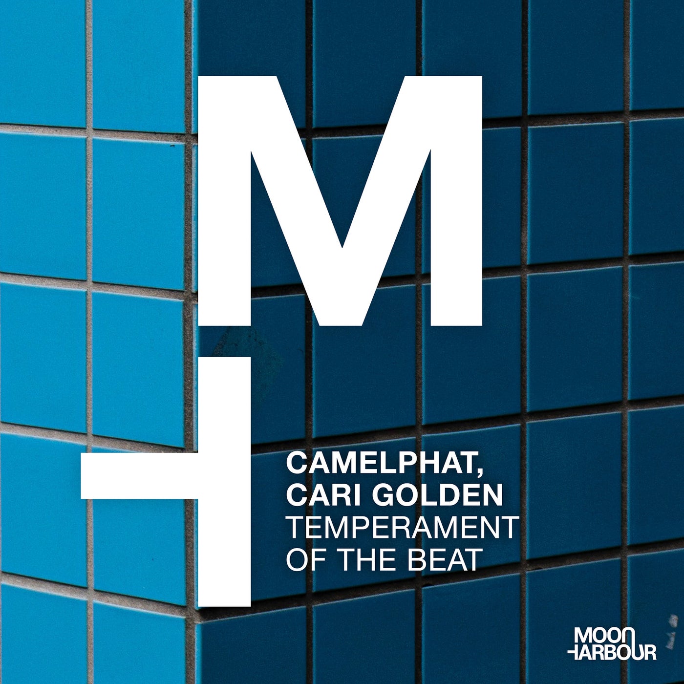 CamelPhat, Cari Golden - Temperament of the Beat (Original Mix)