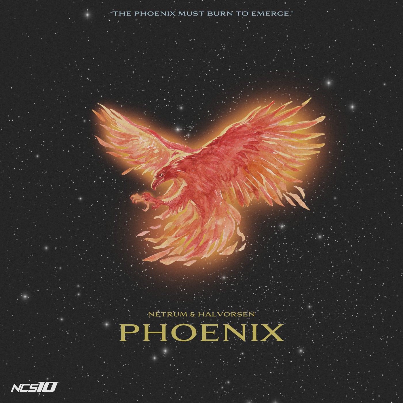 Netrum, Halvorsen - Phoenix