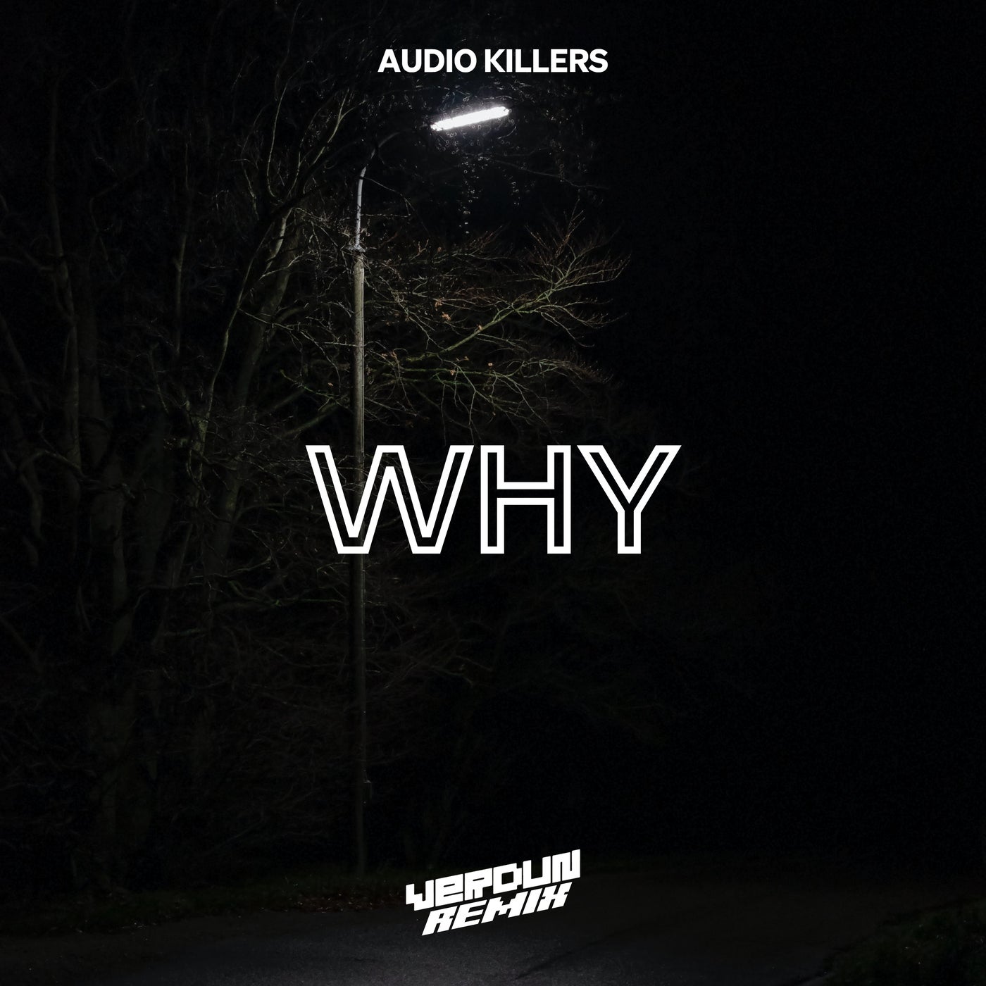 Verdun Remix & Audio Killers - Why (Original Mix)