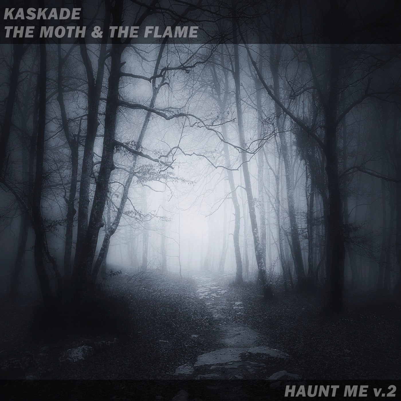 Kaskade, The Moth & The Flame - Haunt Me V.2 (Extended)
