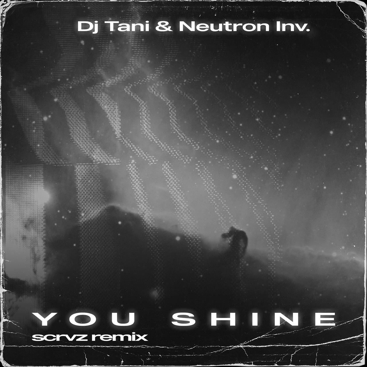 Dj Tani & Neutron Inv. - You Shine (Scrvz Remix)