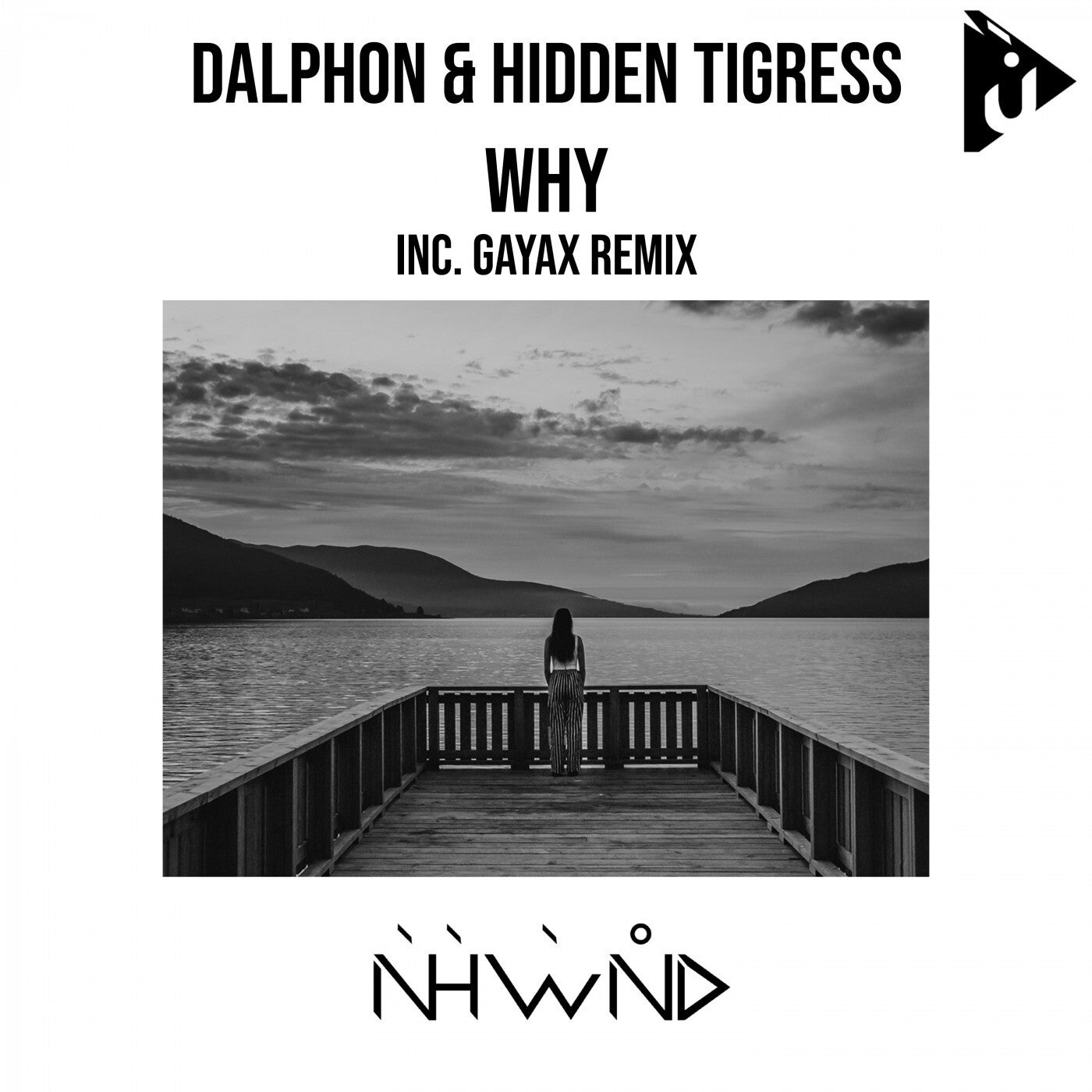 Dalphon & Hidden Tigress - Why (Original Mix)