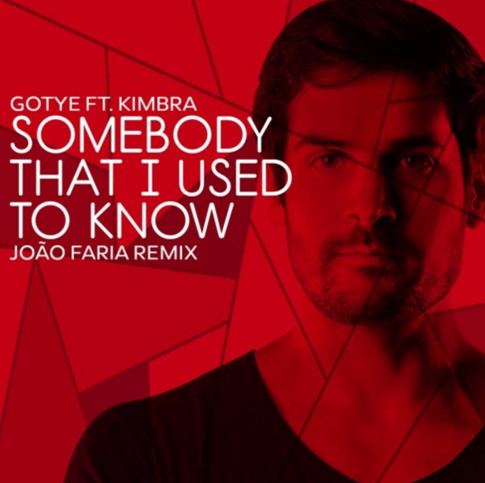 Gotye - Somebody That I Used To Know (João Faria Remix)