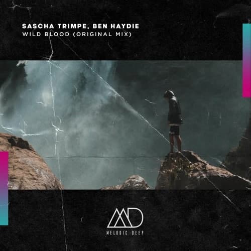 Sascha Trimpe & Ben Haydie - Wild Blood (Original Mix)