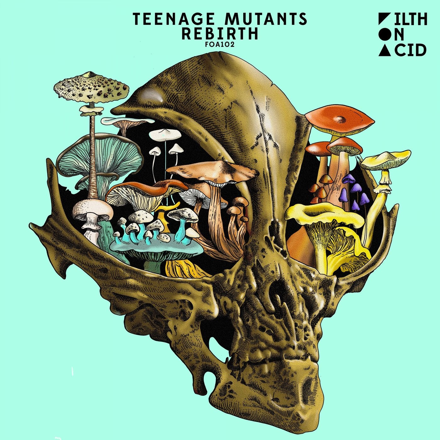 Teenage Mutants - Evolve (Original Mix)