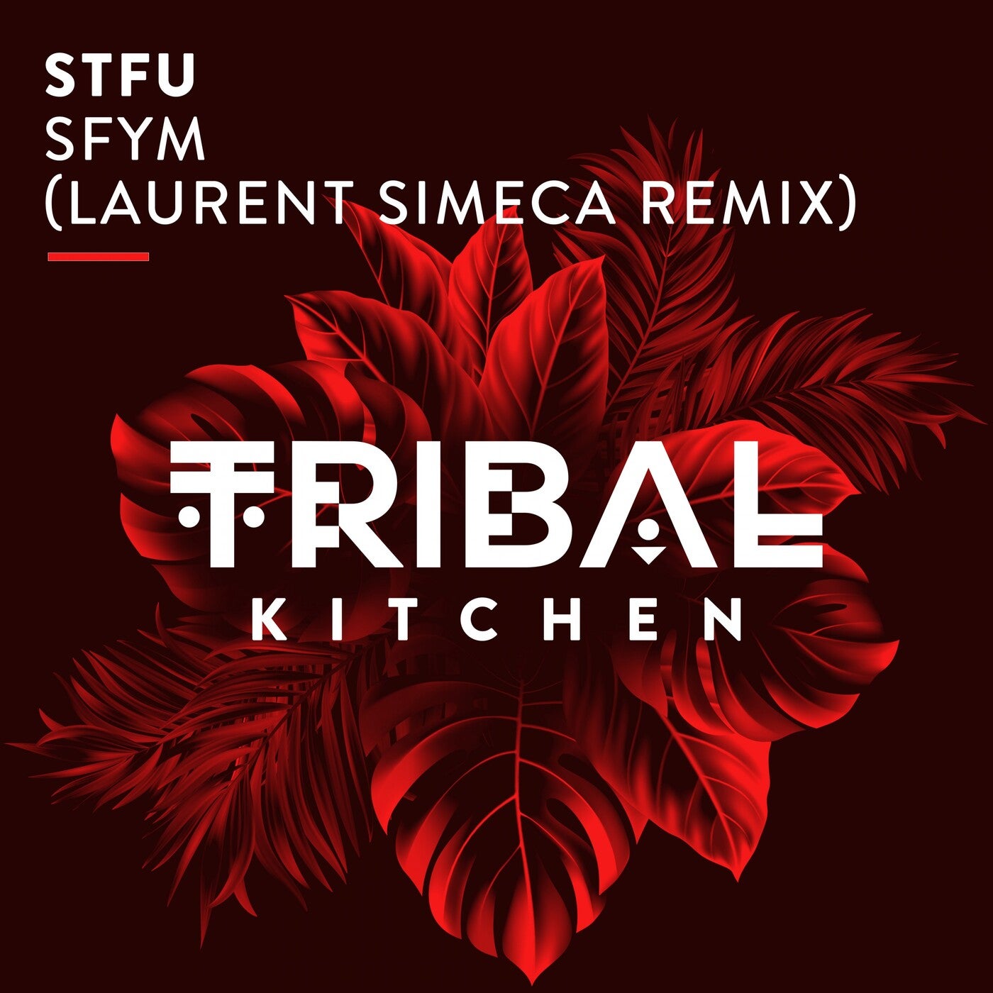 STFU - SFYM 2021 (Laurent Simeca Extended Remix)