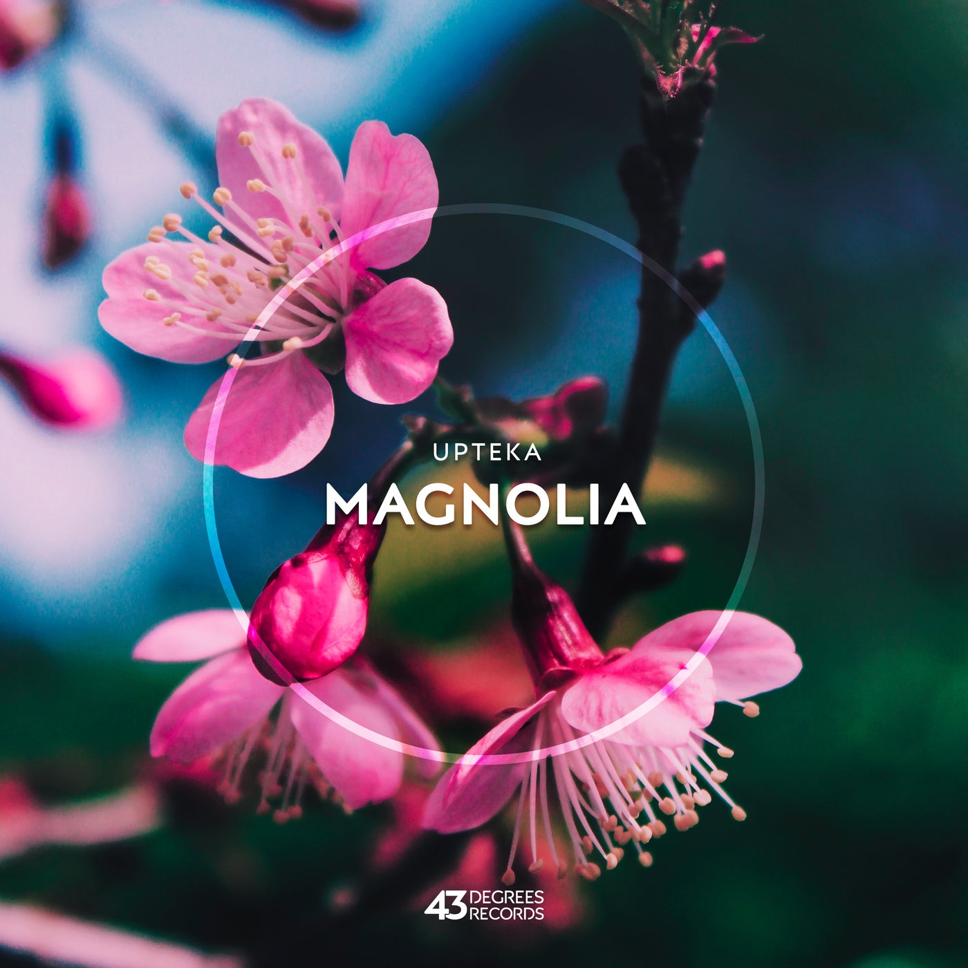 Upteka - Magnolia (Original Mix)