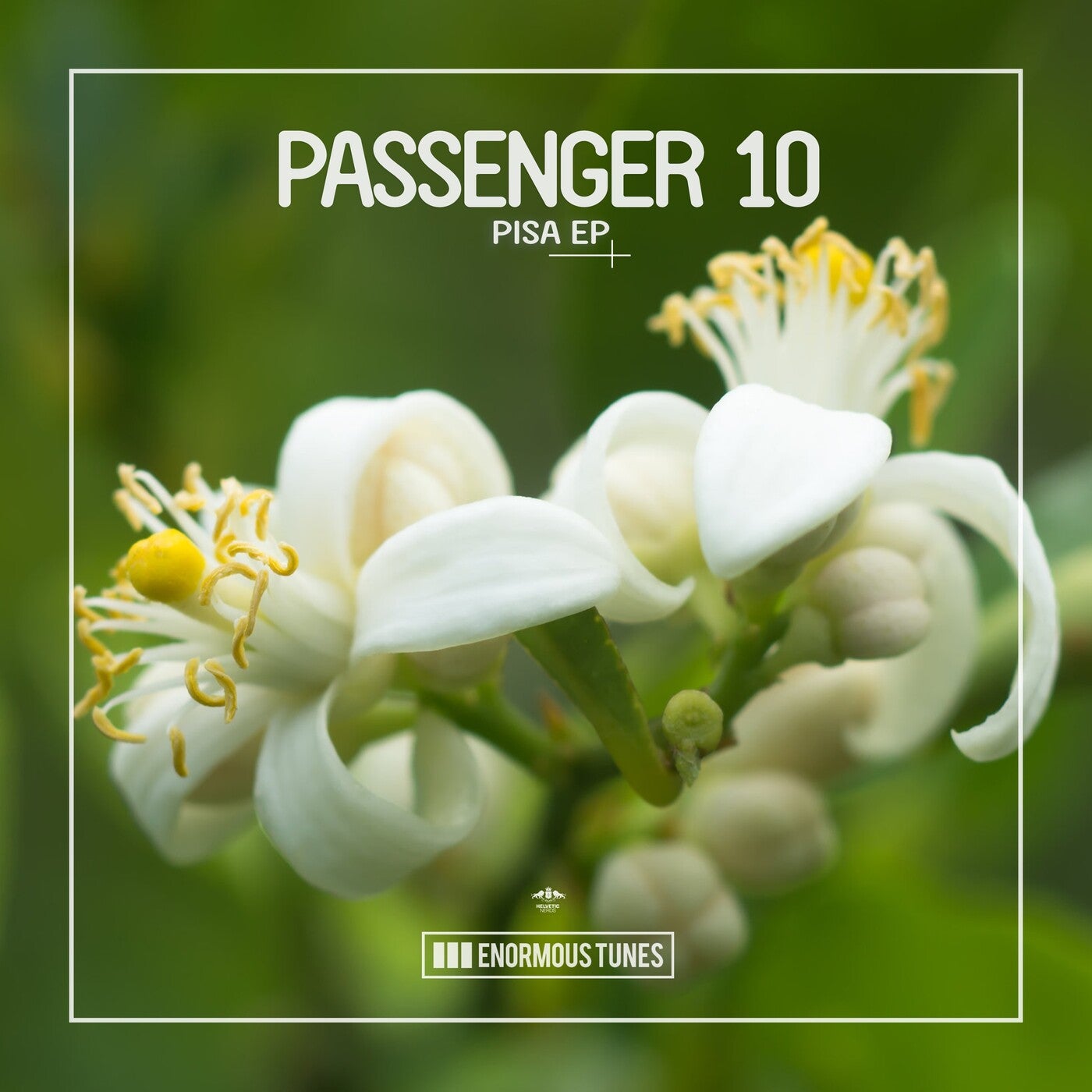 Passenger 10 - Pisa (Extended Mix)