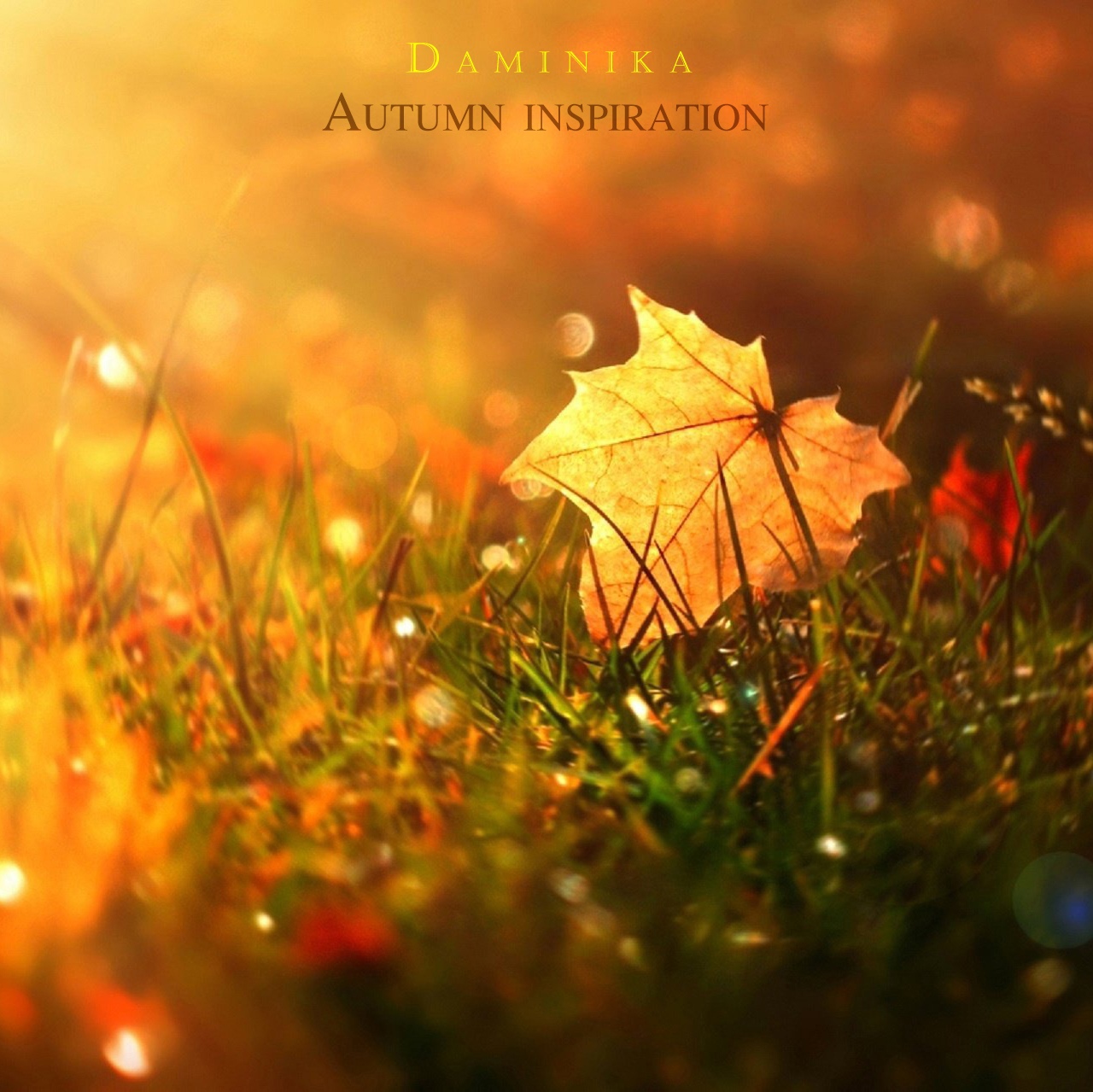 Daminika - Autumn Inspiration