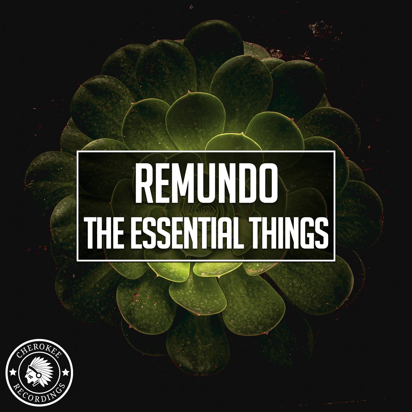 Remundo - The Essential Things (Extended Mix)