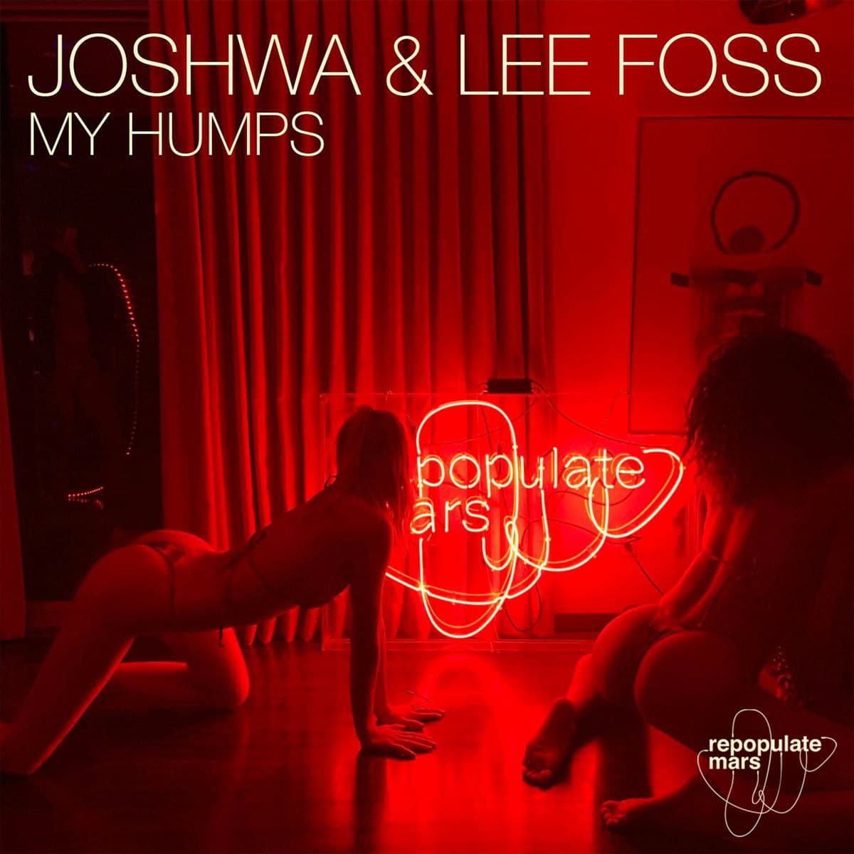 Joshwa & Lee Foss - My Humps (Original Mix)