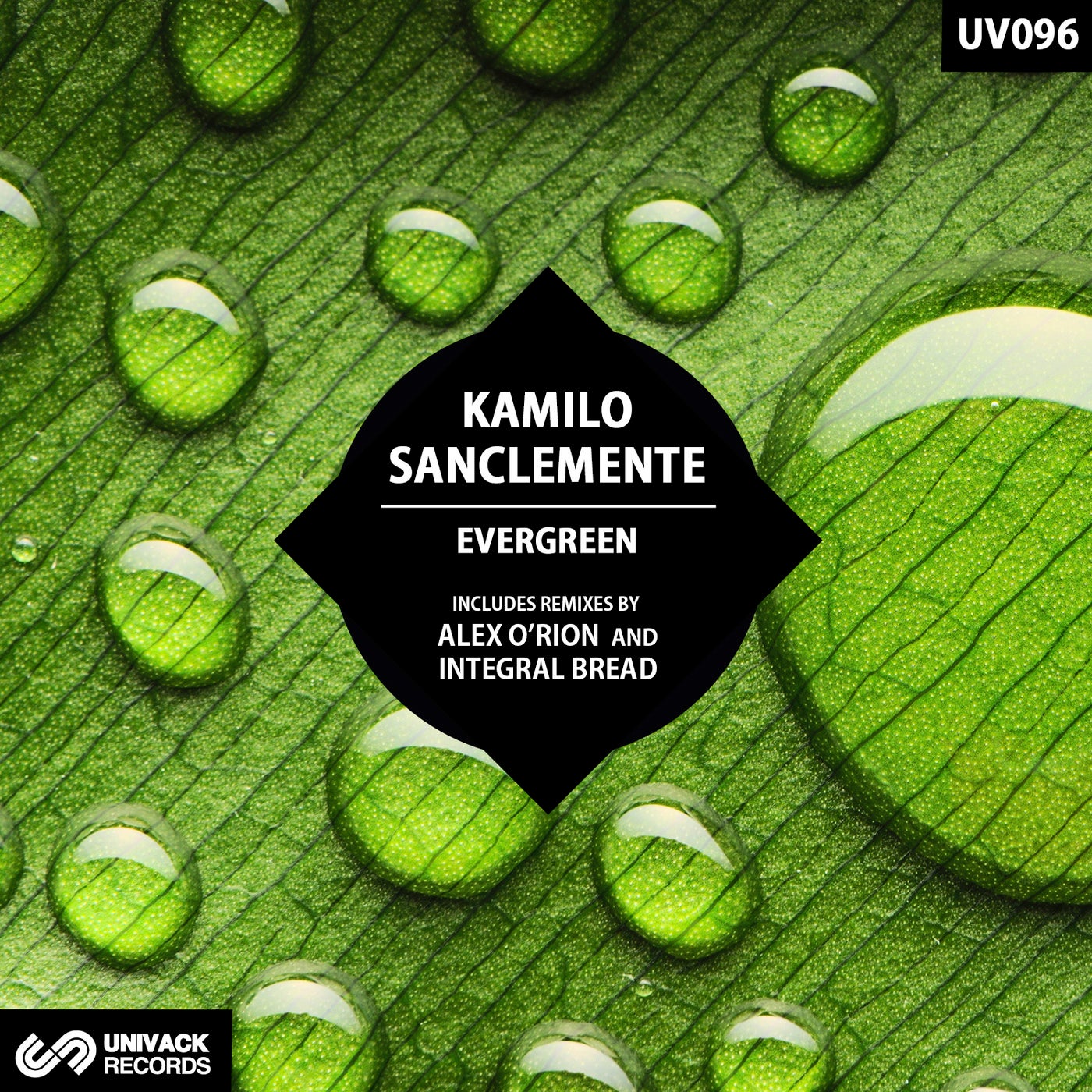 Kamilo Sanclemente - Evergreen (Original Mix)