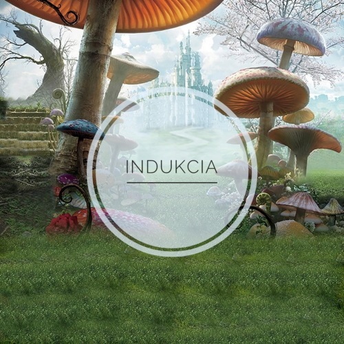 Indukcia - Two Tickets To Wonderland (Original Mix)