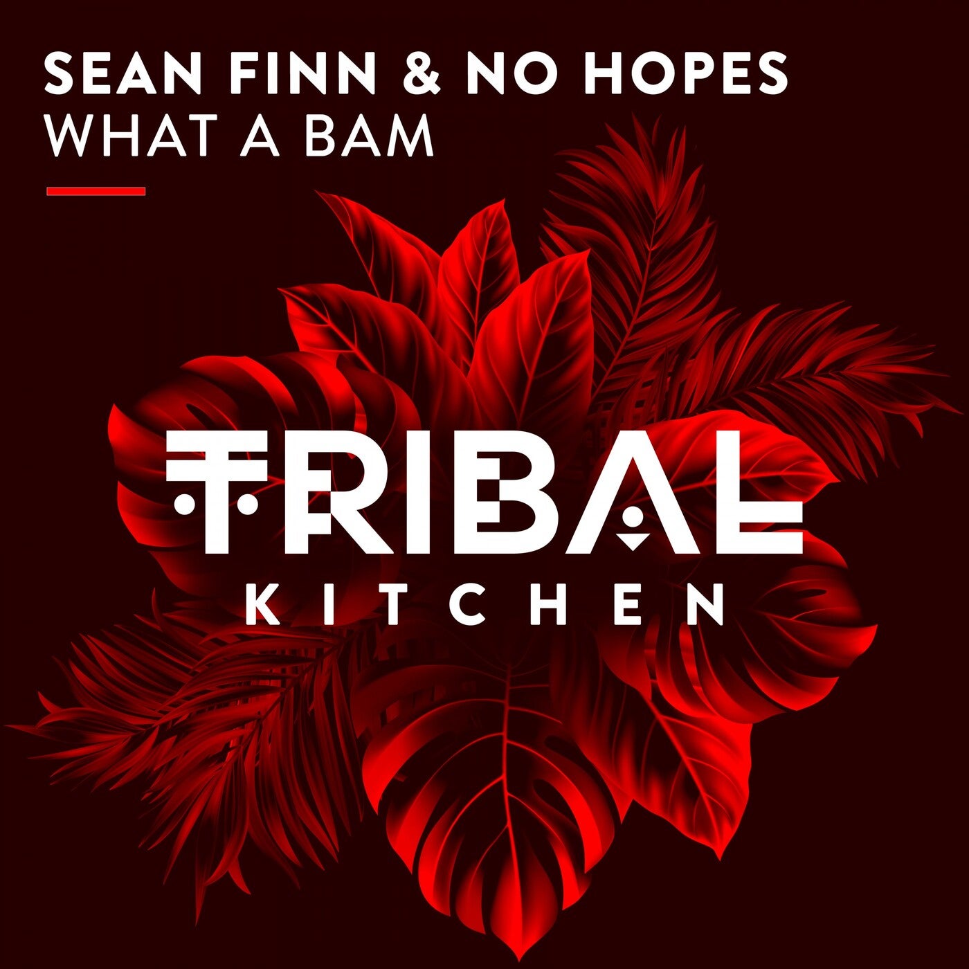 Sean Finn, No Hopes - What A Bam (Original Mix)