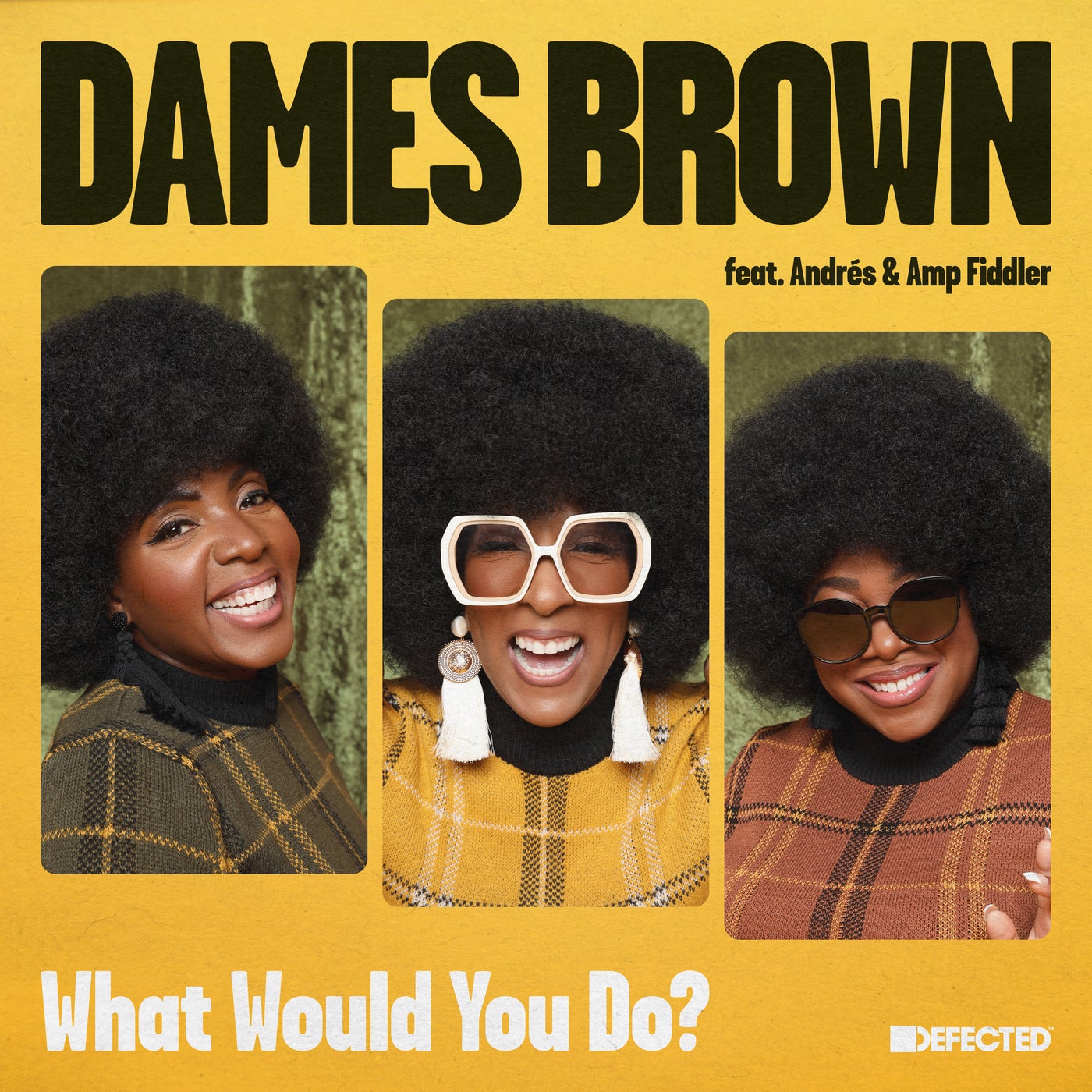 Dames Brown - What Would You Do Feat. Andrés Feat. Amp Fiddler (12 Mix)