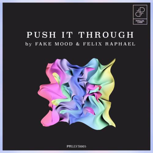 Fake Mood, Felix Raphael - Push It Through (Original Mix)