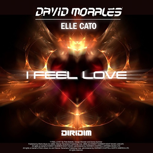 David Morales & Elle Cato - I Feel Love (Extended Mix)