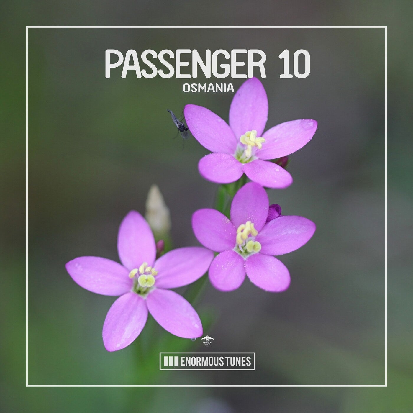 Passenger 10 - Osmania (Extended Mix)