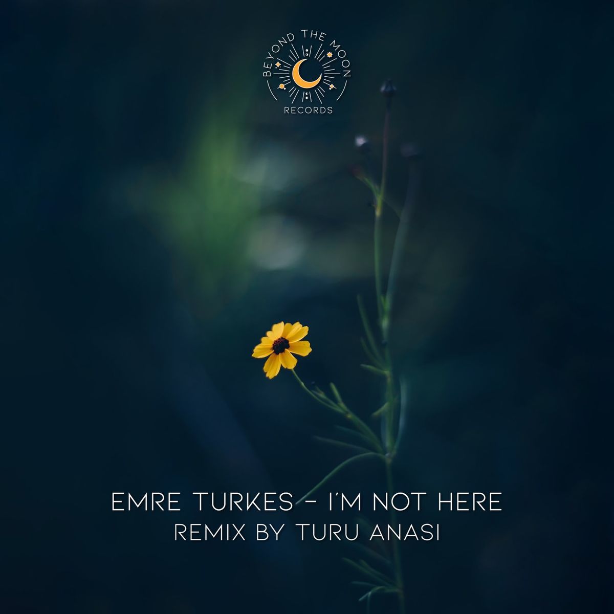 Emre Turkes - Deep Inside (Original Mix)