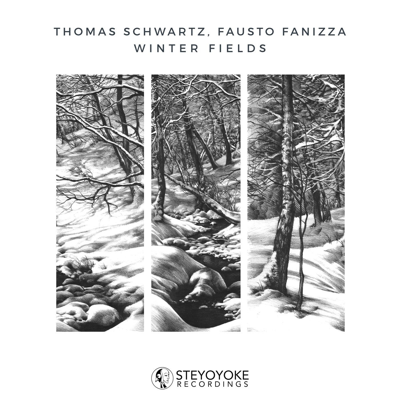 Thomas Schwartz, Fausto Fanizza, Phoebe Tsen - Winter Fields (Extended Mix)