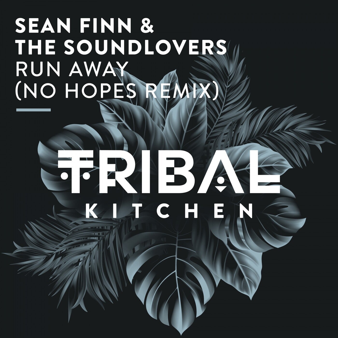 Sean Finn & The Soundlovers - Run Away (No Hopes Remix)