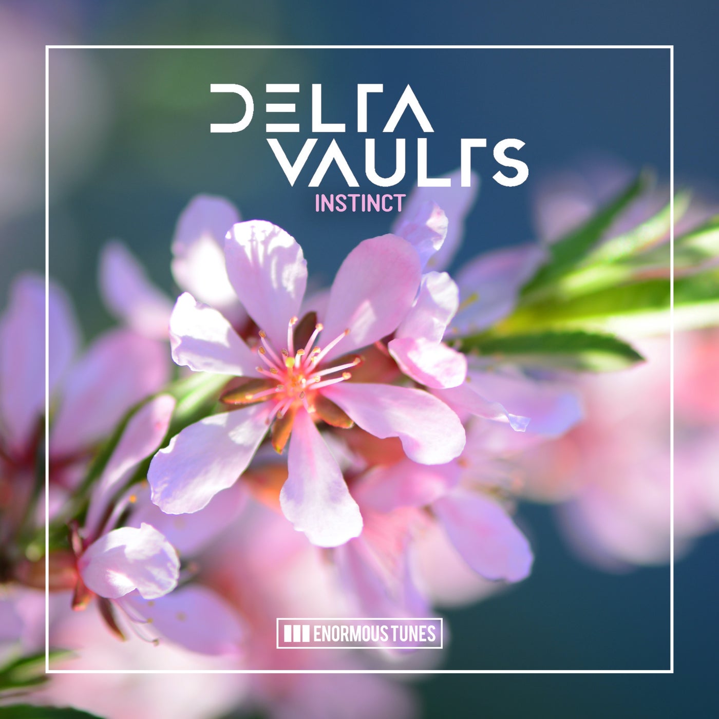 Delta Vaults - Instinct (Extended Mix)