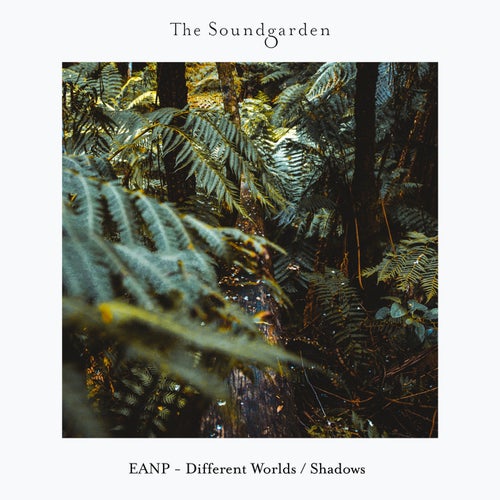 EANP - Shadows (Original Mix)