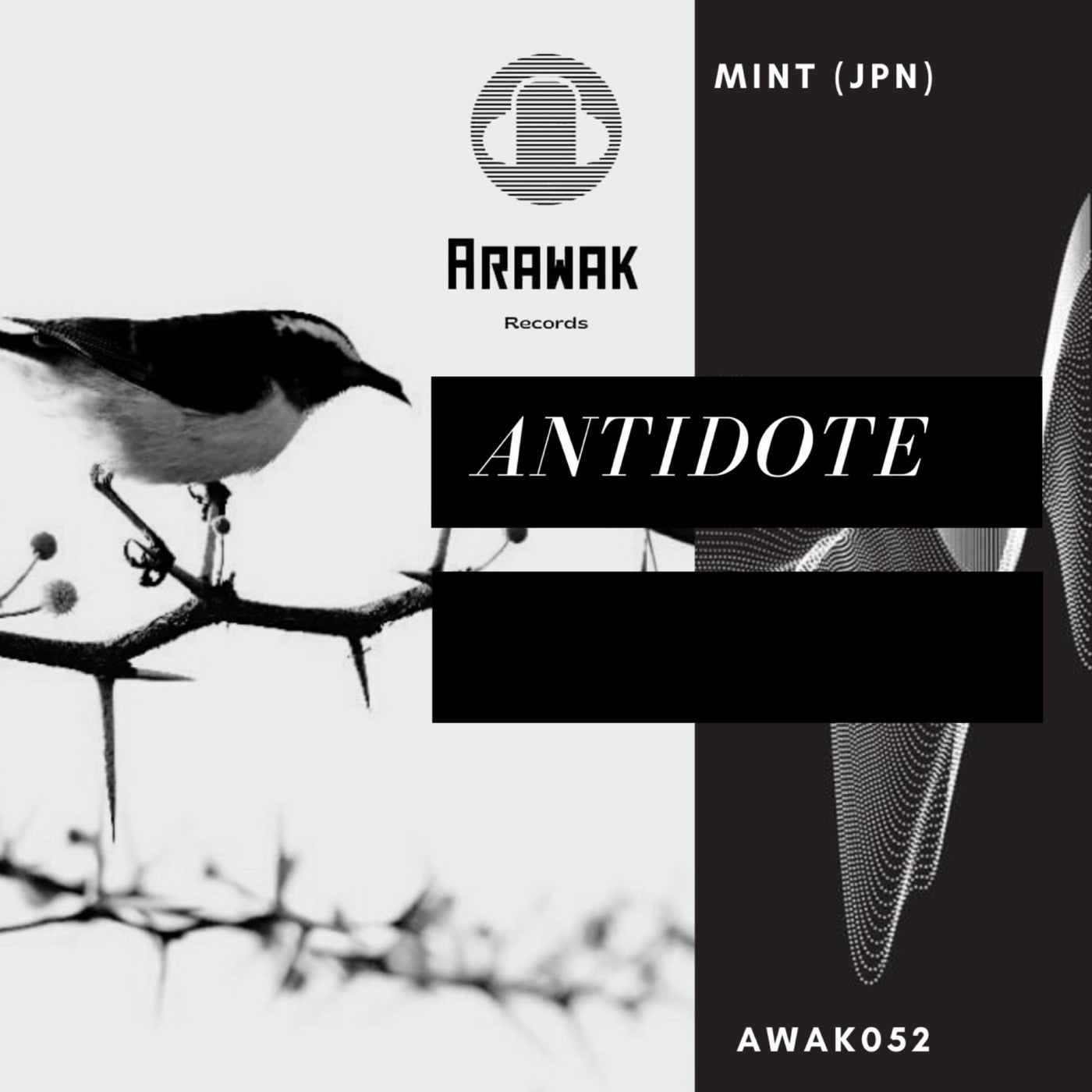 Mint (JPN) - Antidote (Original Mix)