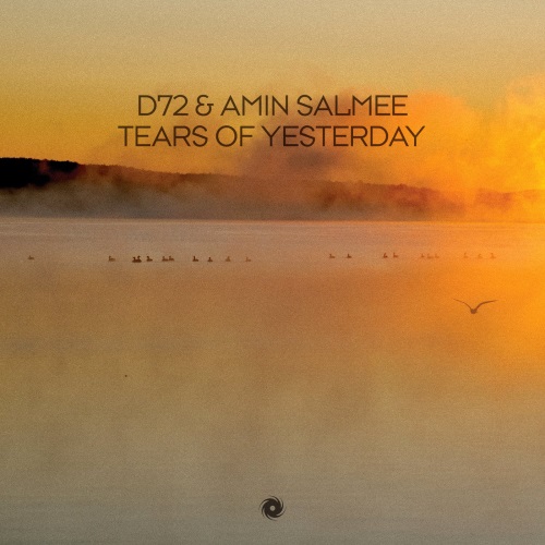 D72 & Amin Salmee - Tears of Yesterday (Extended Mix)