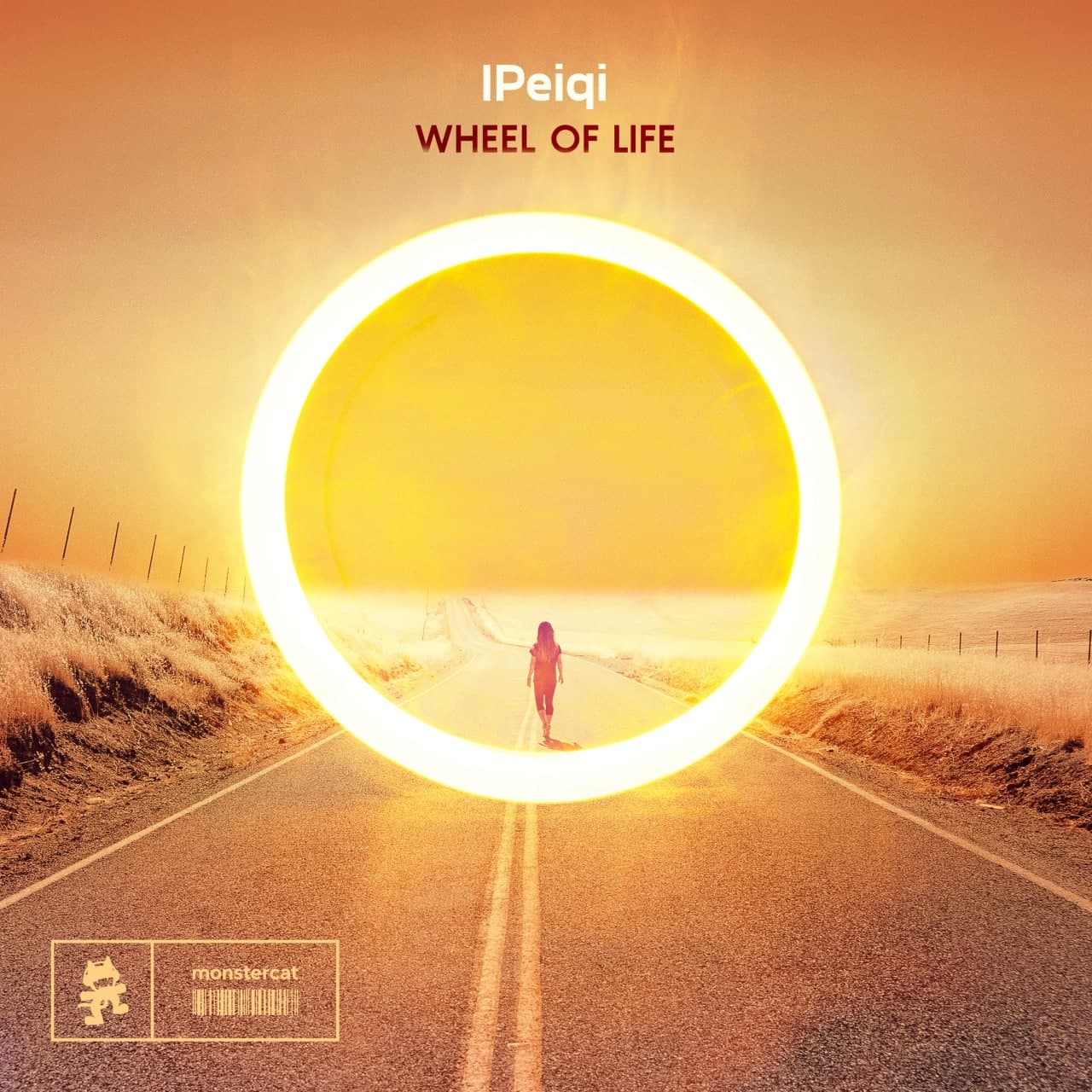 IPeiqi - We Shall Meet Again Some Day (Extended Mix)