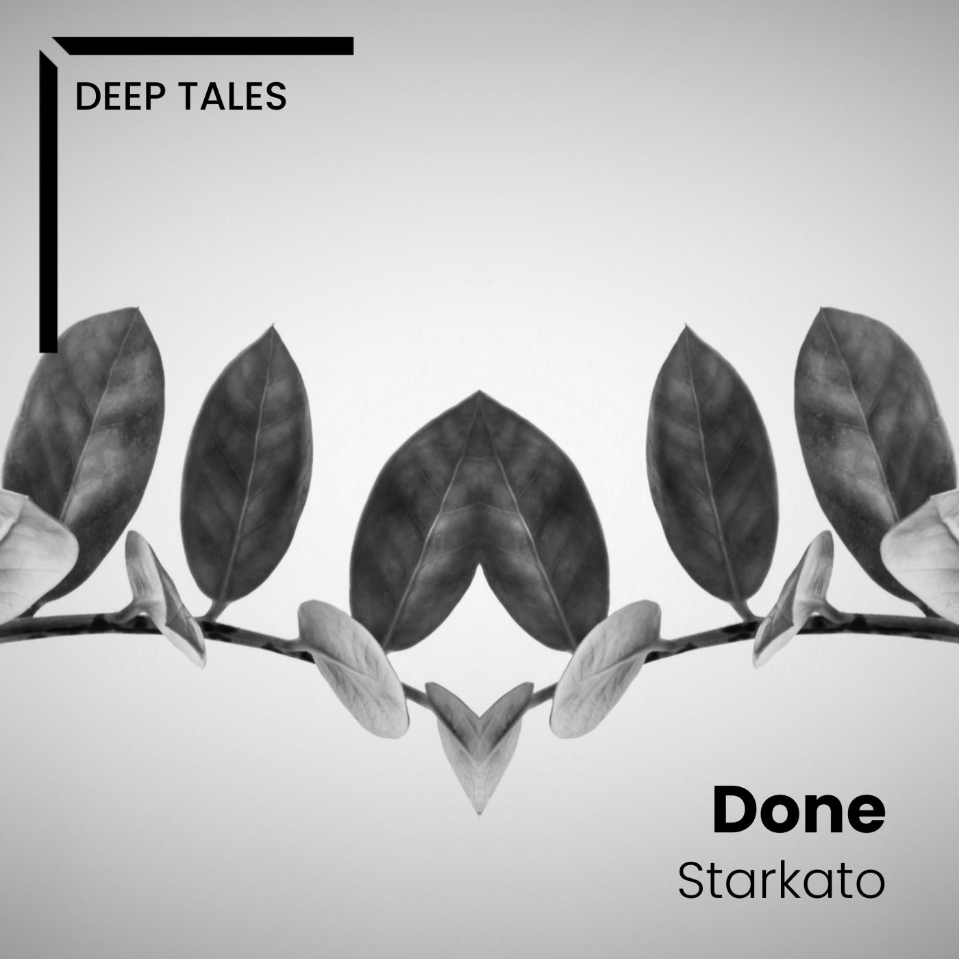 Starkato - Done (Original Mix)