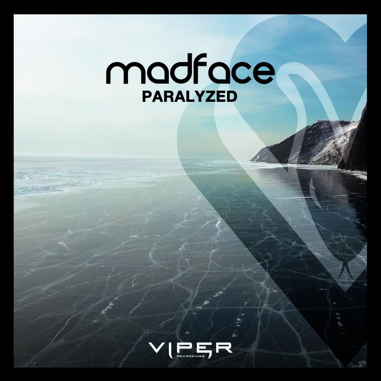 Madface - Paralyzed (Original Mix)