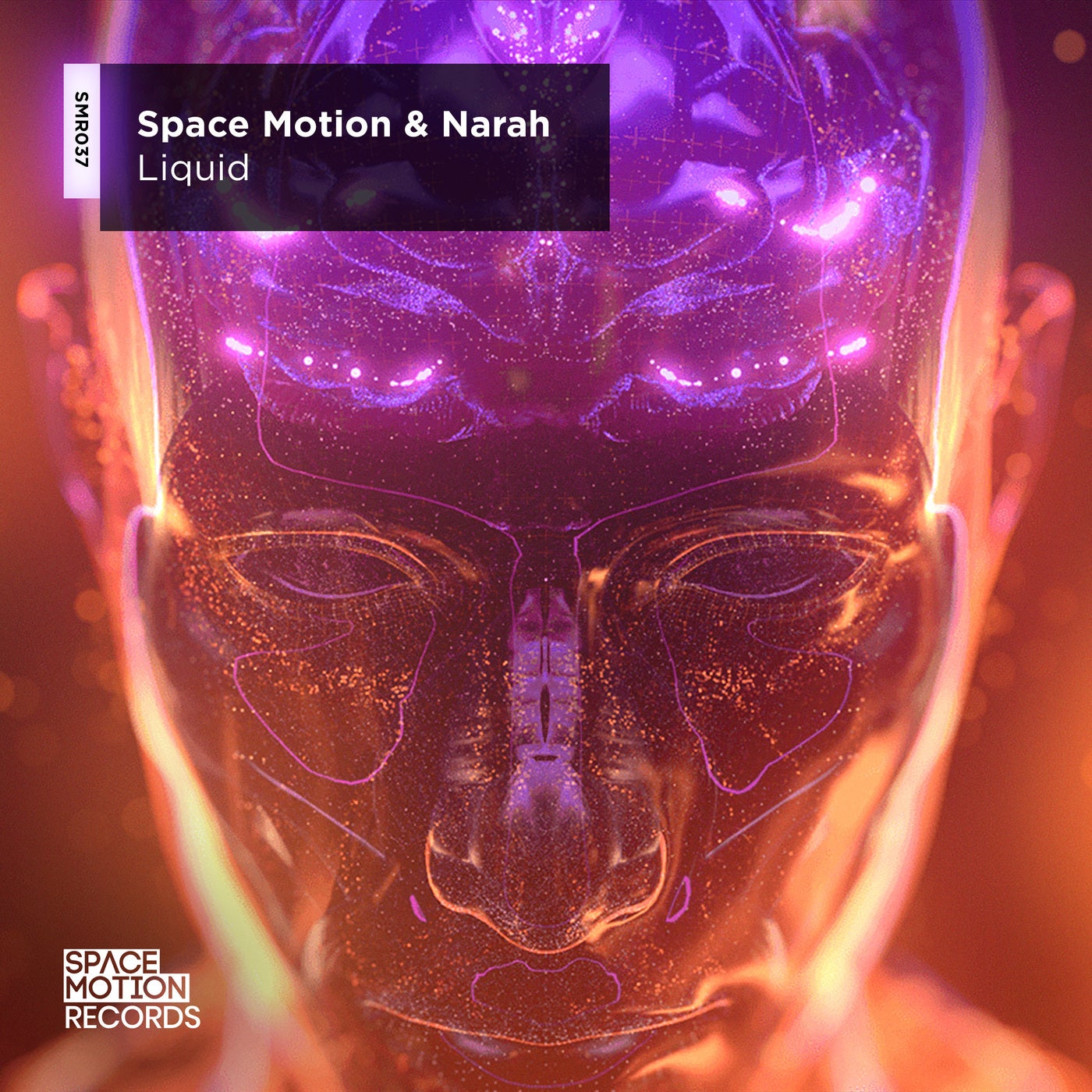 Space Motion, Narah - Liquid (Original Mix)