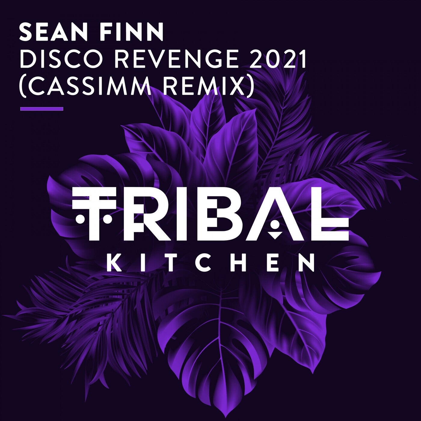 Sean Finn - Disco Revenge 2021 (Cassimm Remix)