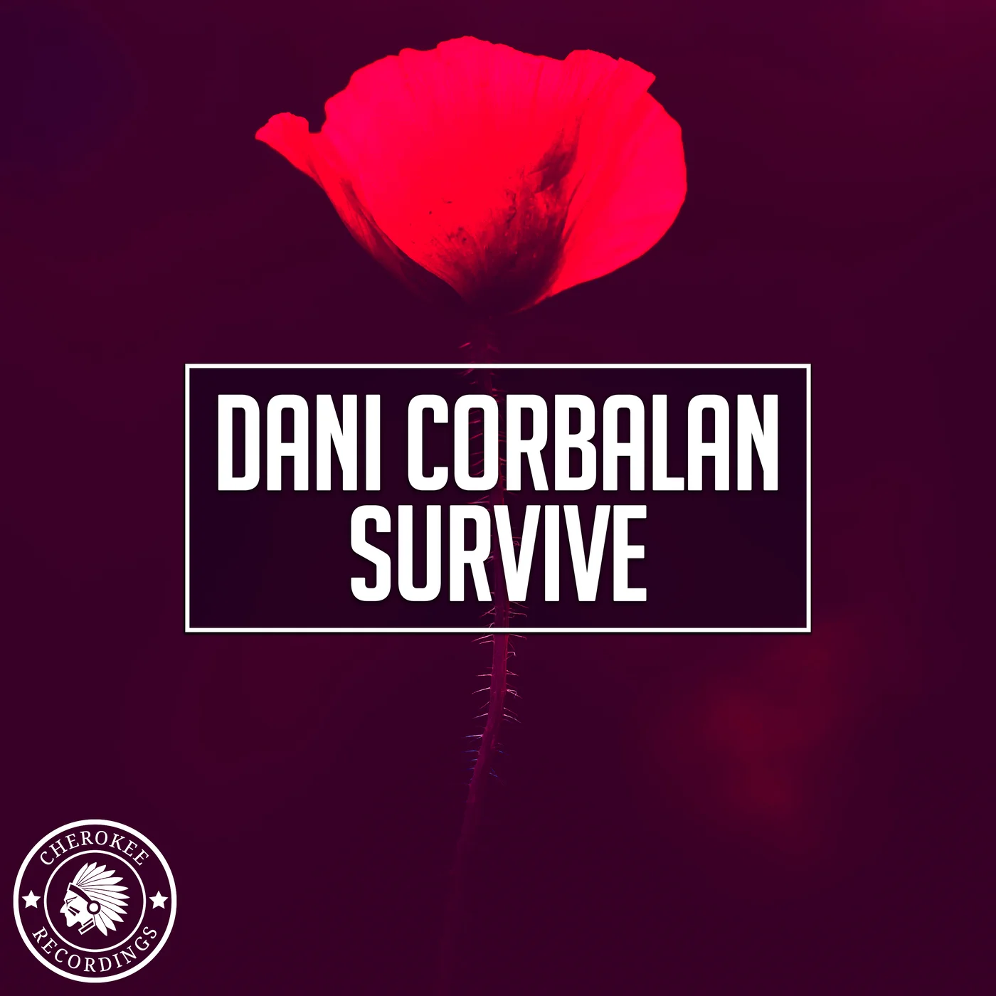 Dani Corbalan - Survive (Extended Mix)