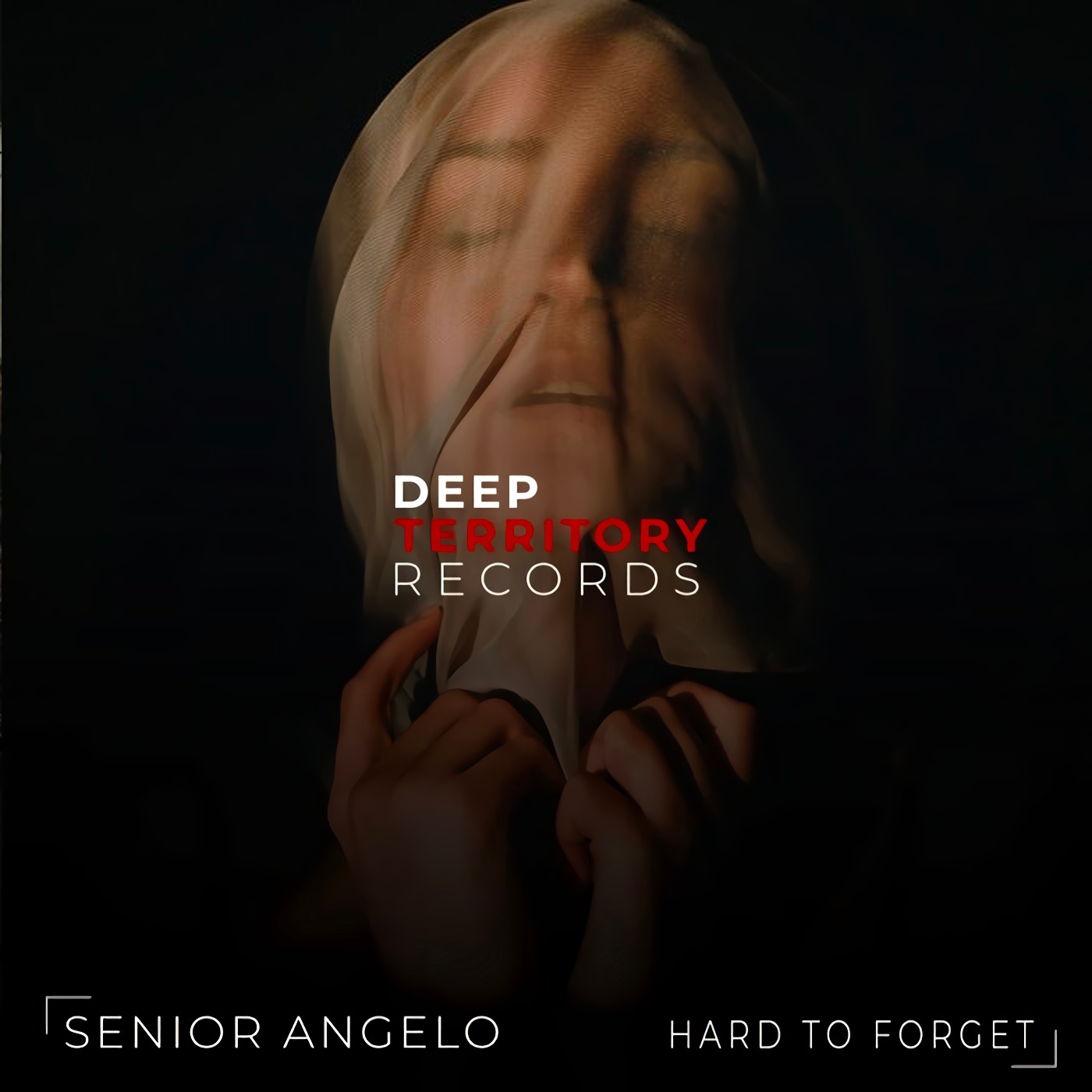 Senior Angelo - Hard To Forget (Original Mix)