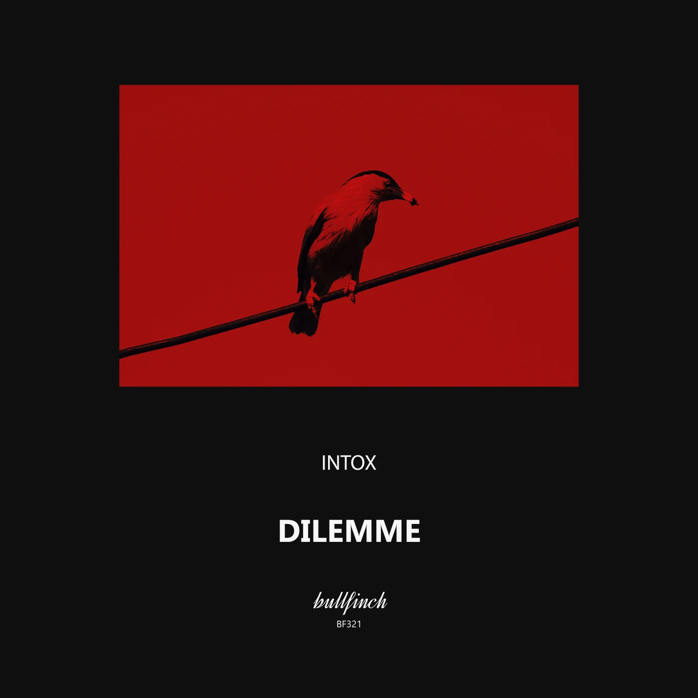 Intox - Dilemme