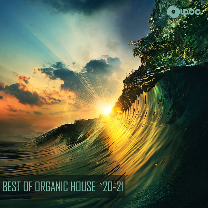 Oldoc - Best Of Organic House `20-21
