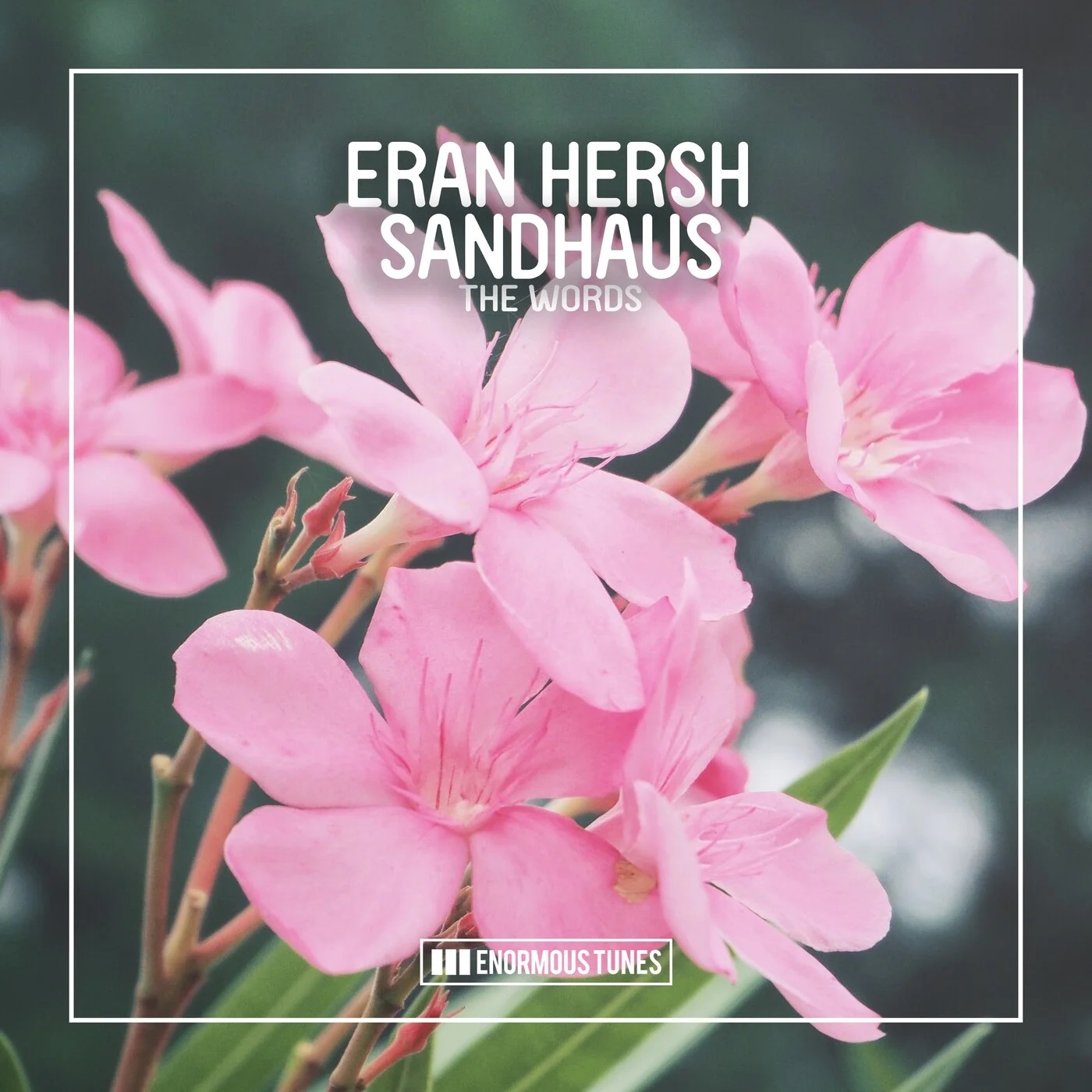 Eran Hersh feat. Sandhaus - The Words (Extended Mix)