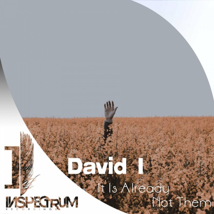 David I - It Is Already Not Them (Original Mix)