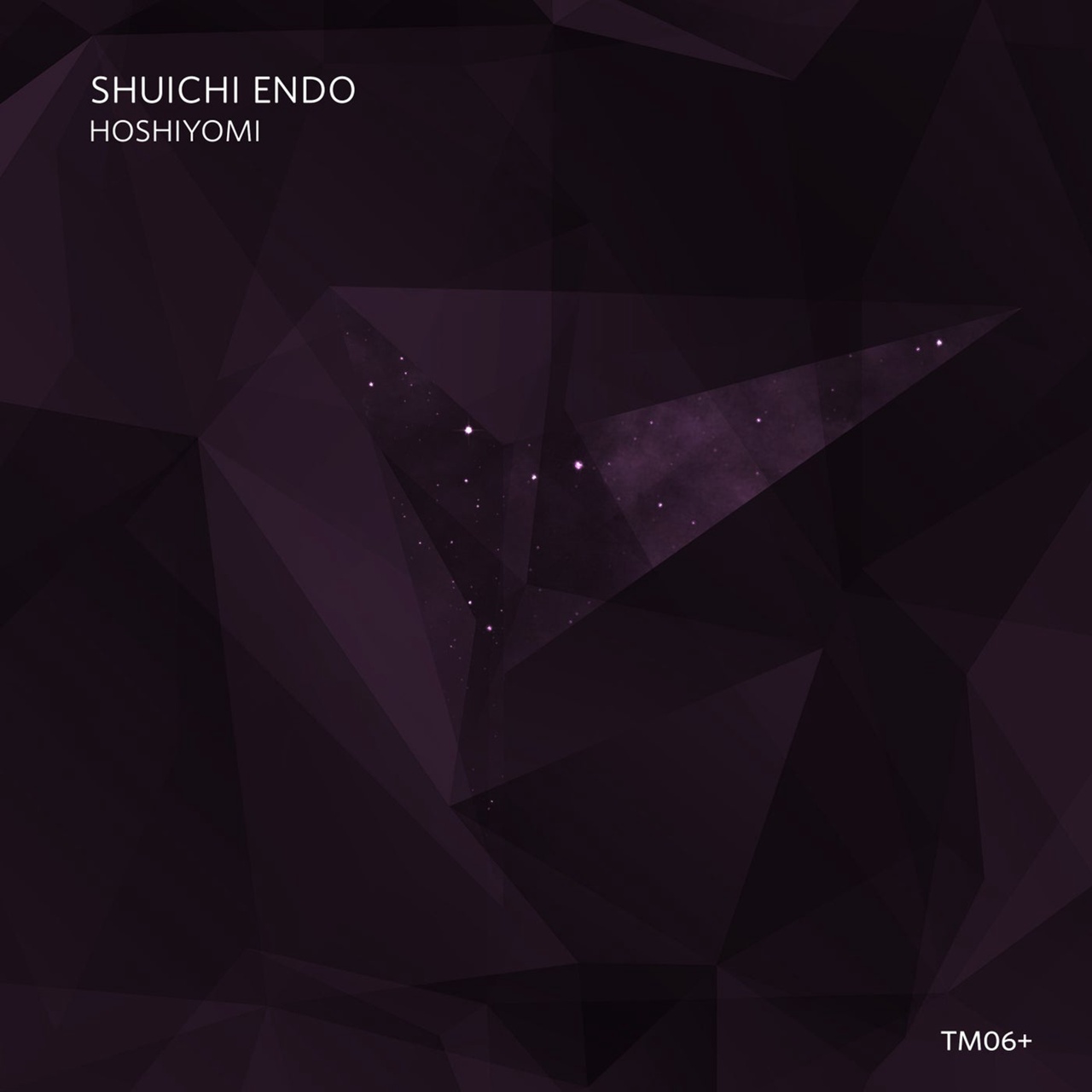 Shuichi Endo - Hoshiyomi (Original Mix)