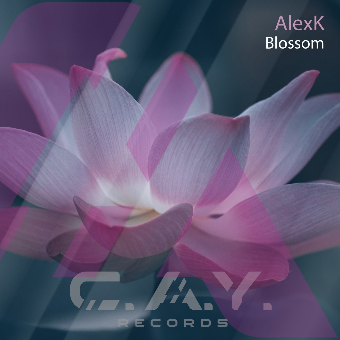 AlexK - Blossom (Original Mix)