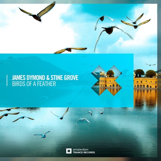 James Dymond & Stine Grove - Birds of A Feather (Extended Mix)