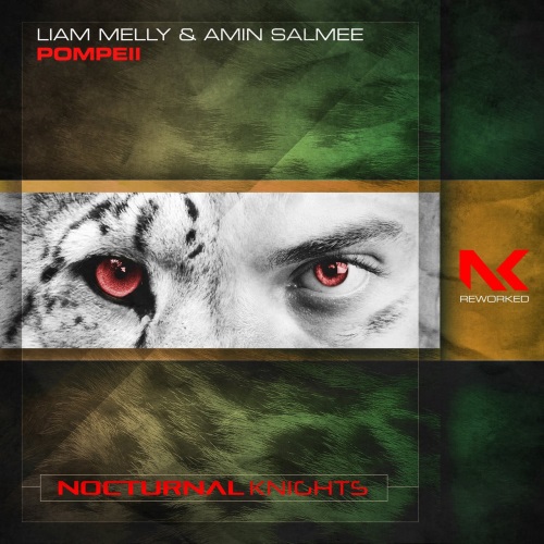 Liam Melly & Amin Salmee - Pompeii (Extended Mix)